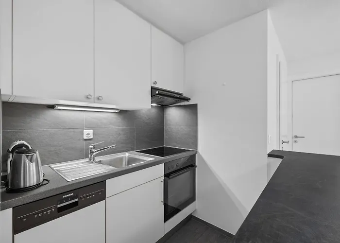 Appartement Lion 010 Sur La Place Du Village A