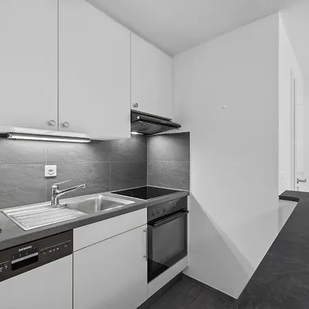 Appartement Lion 010 Sur La Place Du Village A